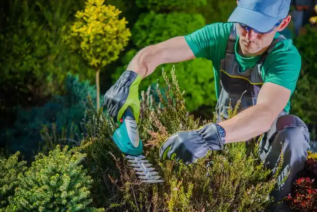 landscaping services Potts Camp